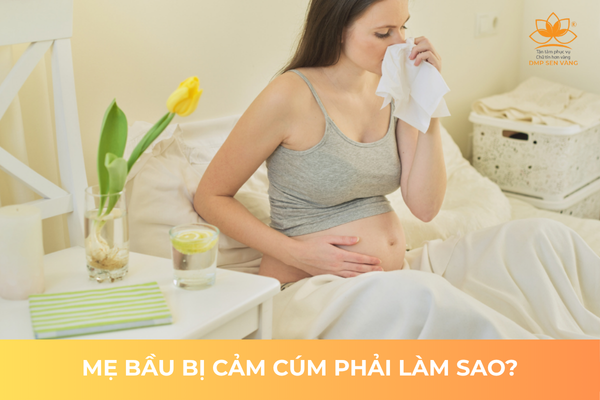 Cảm Cúm Những Tháng Đầu, Bà Bẩu Phải Làm Sao? 